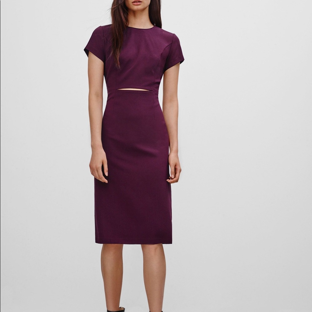 Aritzia Babaton Prosper Dress